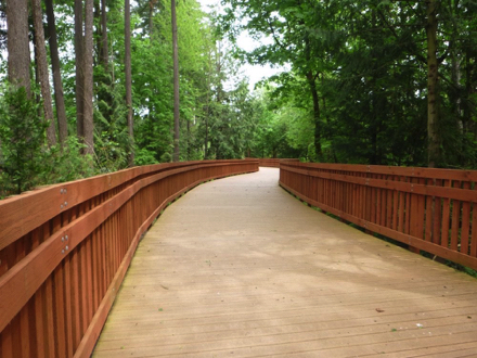 Boardwalk - wooden railings on both sides - boardwalk dead ends - trees